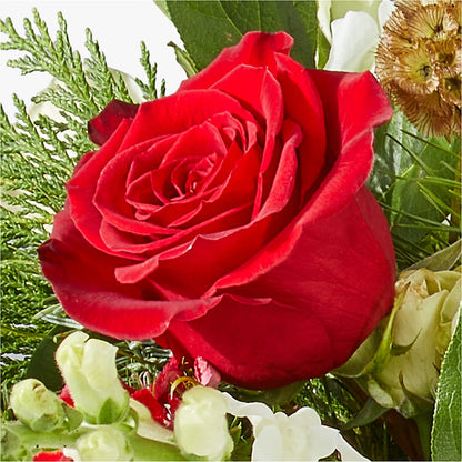 Deck the Halls Bouquet – AIMEE'S FLOWERS, San Diego CA