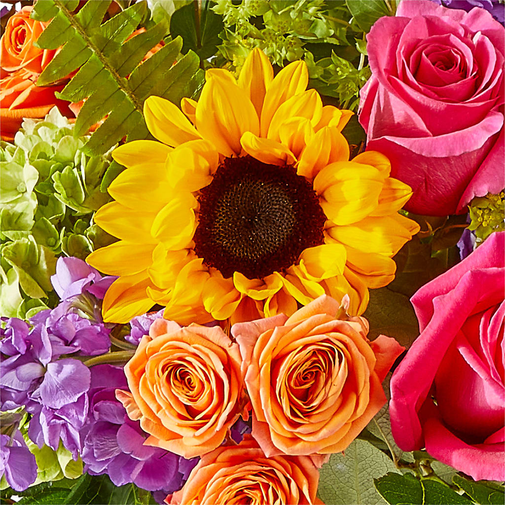 Vibrant Greetings Bouquet – AIMEE'S FLOWERS, San Diego CA
