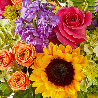 Vibrant Greetings Bouquet – AIMEE'S FLOWERS, San Diego CA