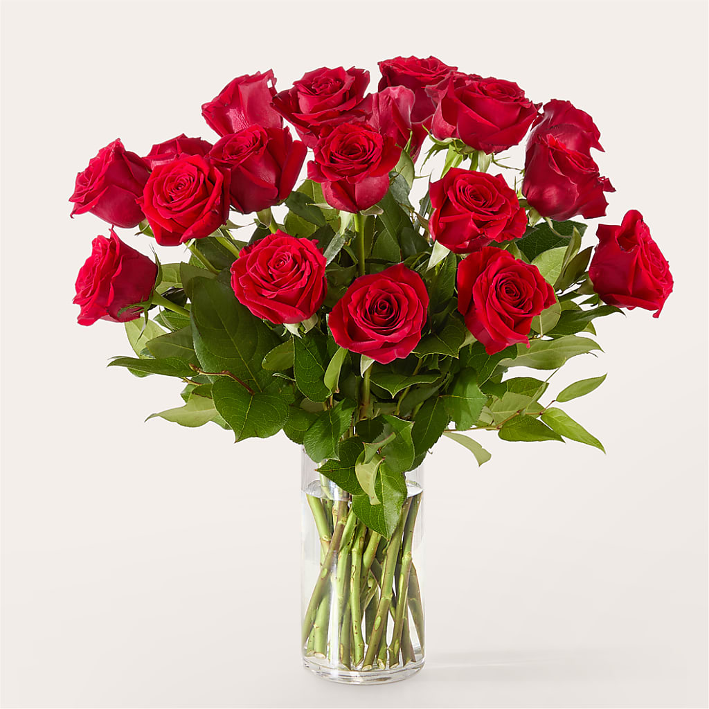 The One Red Rose Bouquet – AIMEE'S FLOWERS, San Diego CA