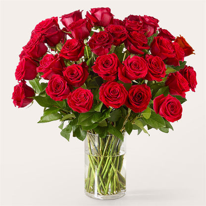 The One Red Rose Bouquet – AIMEE'S FLOWERS, San Diego CA