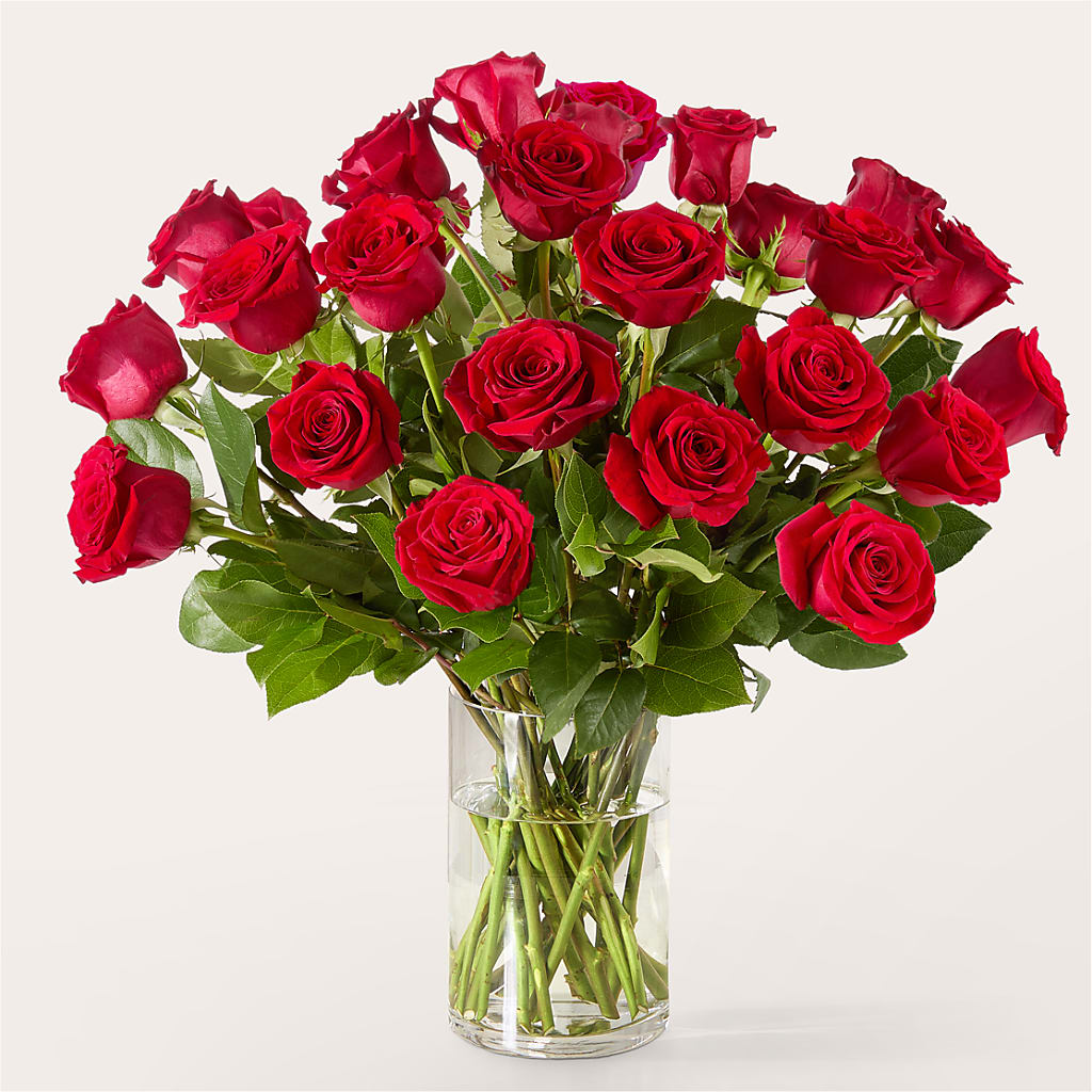 The One Red Rose Bouquet – AIMEE'S FLOWERS, San Diego CA