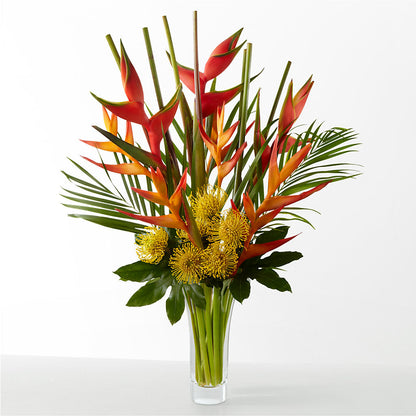 The Drama – AIMEE'S FLOWERS, San Diego CA