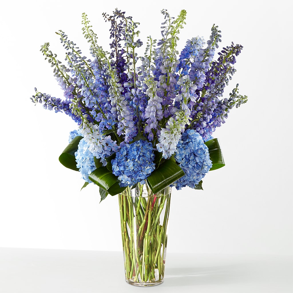 The Editorial – AIMEE'S FLOWERS, San Diego CA