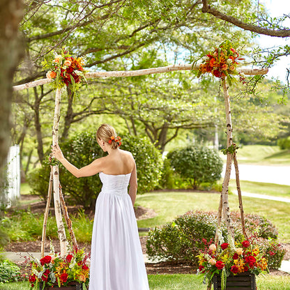 Arbor of Love Archway – AIMEE'S FLOWERS, San Diego CA
