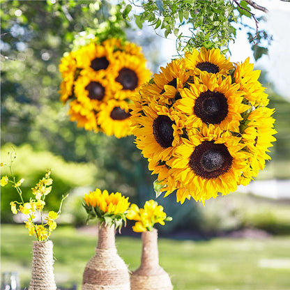 Sublime Garden Hanging Arrangement – AIMEE'S FLOWERS, San Diego CA