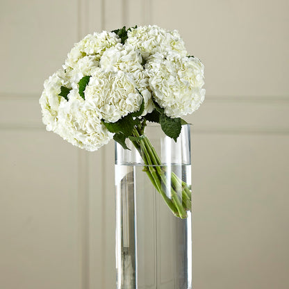 White Hydrangea Hand-Tied Bouquet – AIMEE'S FLOWERS, San Diego CA