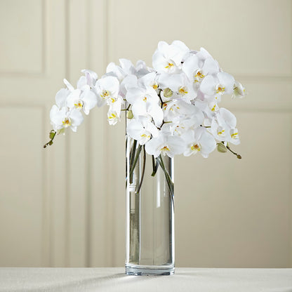 White Phalaenopsis Bouquet – AIMEE'S FLOWERS, San Diego CA