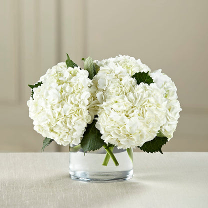 White Hydrangea Bouquet – AIMEE'S FLOWERS, San Diego CA